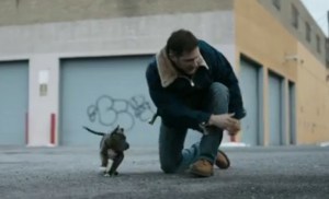 tom hardy w dog drop