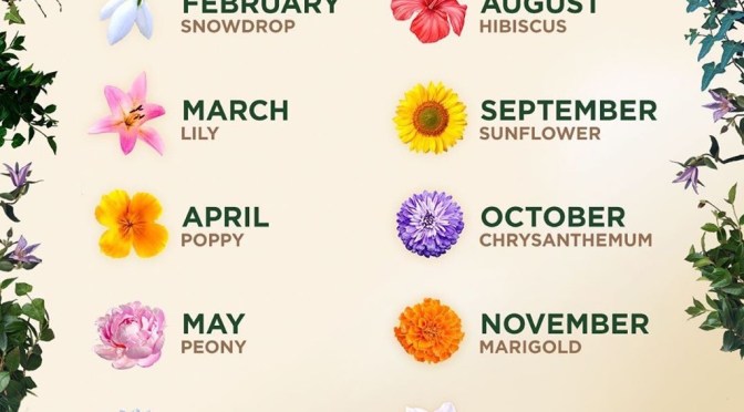 REVIEW: “THE SECRET GARDEN” (2020) STX Entertainment