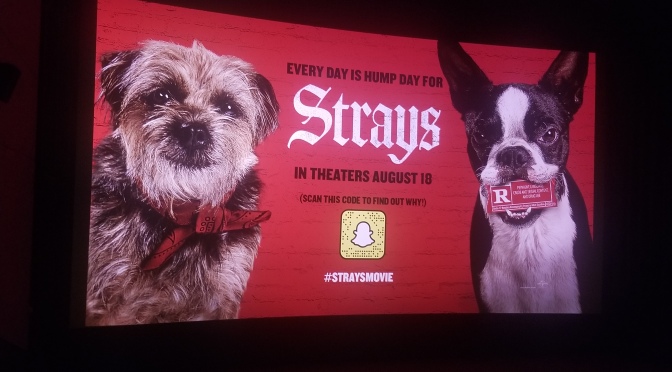 REVIEW: “STRAYS” (2023) Universal